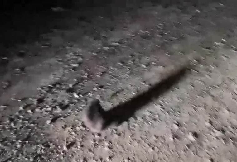 Facebook: Reimer Cortes Mora