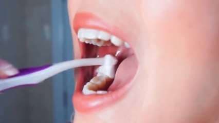 Le mostramos el ABC del higiene dental