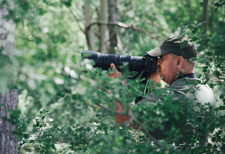Las 7 especies de aves más difíciles de fotografiar en Costa Rica, según pajareros