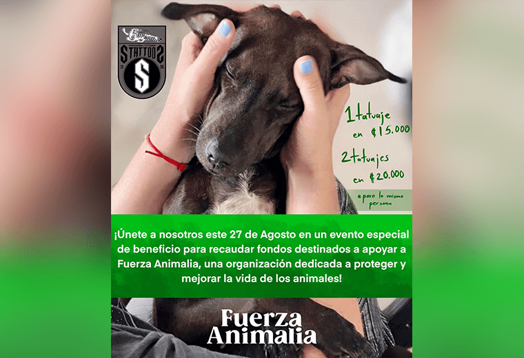 Ofrecerán tatuajes para ayudar a animales rescatados