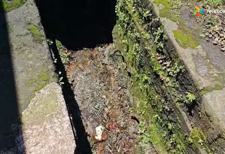 ¿Naciente de agua en pleno centro de Curridabat?