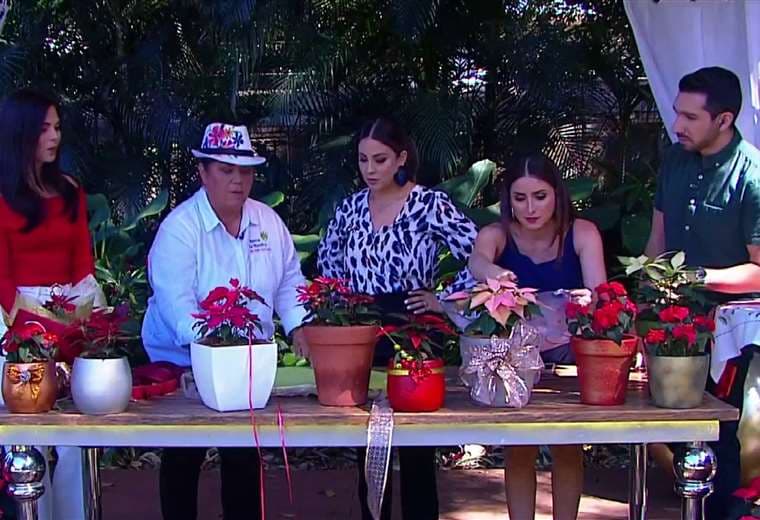 Cómo lograr que sus pastoras florezcan más allá de la Navidad