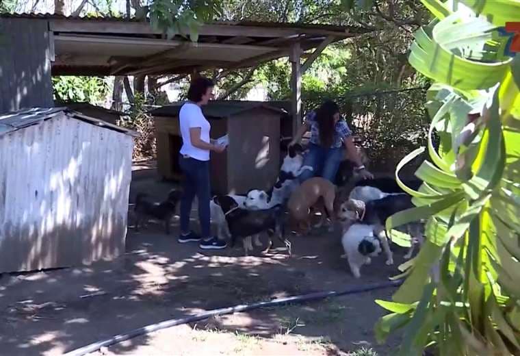 TCMS ha repartido, en sus siete temporadas, más de ₡350 millones a causas benéficas