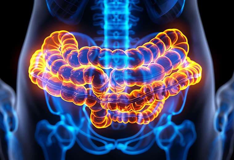 Microbiota sana, columna sana: ¿cuál es su relación?