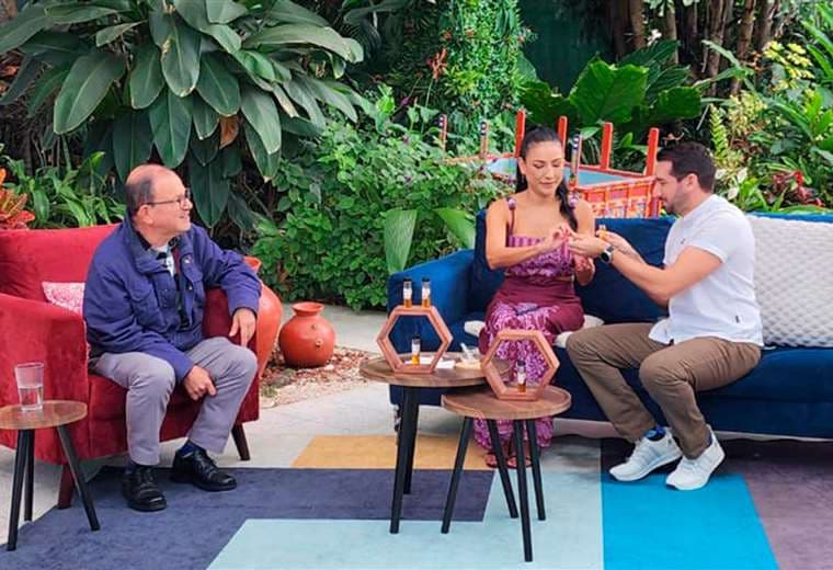 El dulce universo de la miel: variedades, beneficios y cómo elegir la ideal