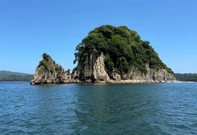 Puntarenas desde el mar: el tour que revela los secretos mejor guardados del Golfo de Nicoya