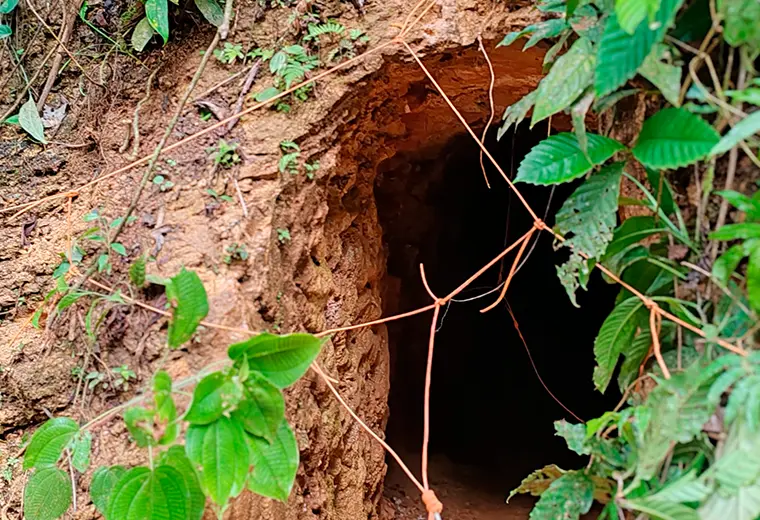 Implosión de 34 túneles en Crucitas intenta frenar extracción ilegal de oro