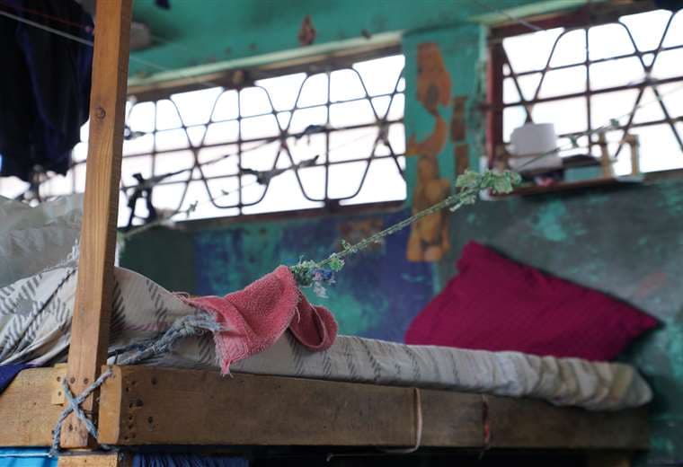 María José Chaves | Casa Presidencial