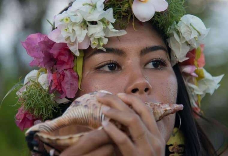 El inesperado papel que pueden jugar caracoles marinos para tratar ronquidos y apnea de sueño