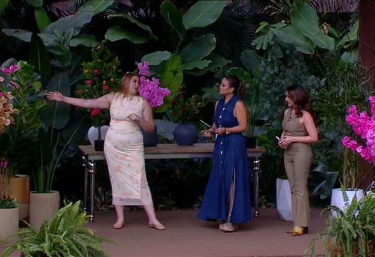 Decorar con plantas artificiales: estilo, versatilidad y practicidad