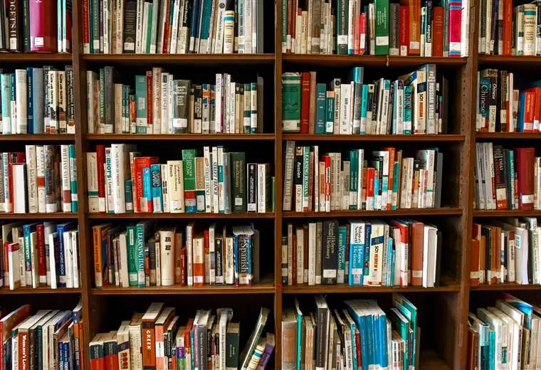 Editorial acusa a OpenAI de violar derechos de autor de libros infantiles en Alemania