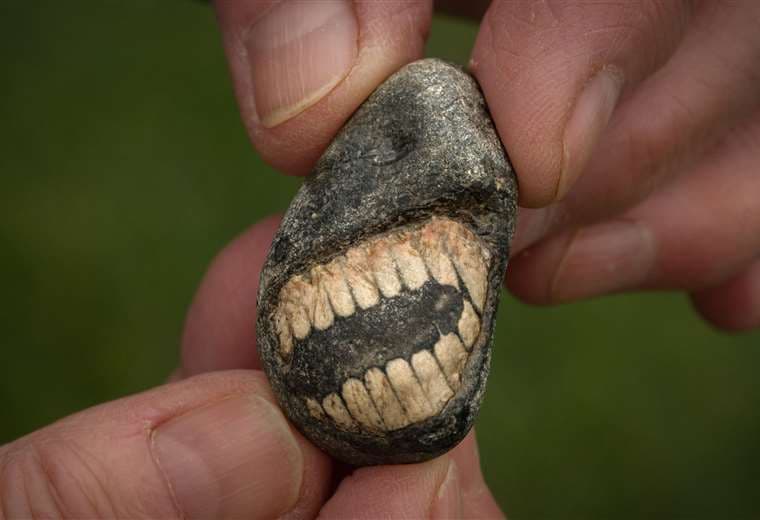 El sorprendente fósil sonriente hallado en una isla en el norte de Inglaterra