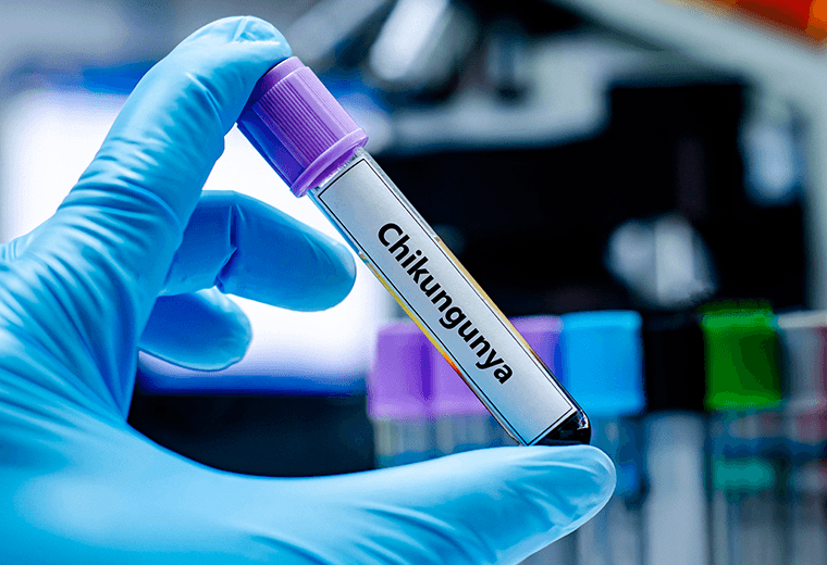 OPS alerta ante la propagación de casos de chikungunya en continente americano