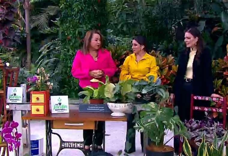 De trastos a tesoros: ideas para reutilizar objetos del hogar sin gastar