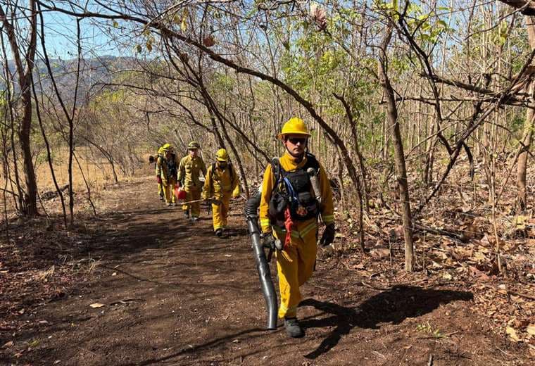 Costa Rica alcanza cifra más alta de incendios forestales en su historia, según Bomberos