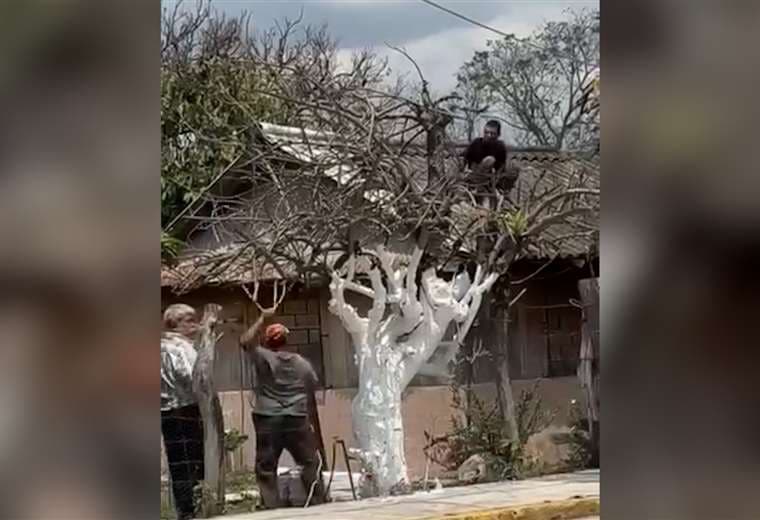 Al mejor estilo del viejo Oeste: detienen a ladrón usando lazo vaquero (Video)