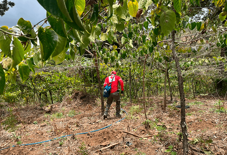 Tras cinco horas de búsqueda aparece vivo menor de tres años desaparecido en Dota