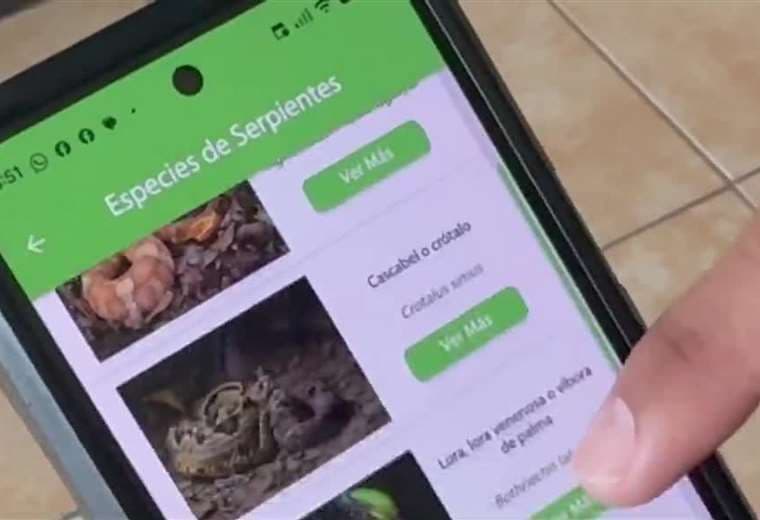 App gratuita de la UCR podría salvarle la vida ante una mordedura de serpiente