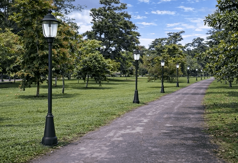 La Sabana estrenará moderna iluminación para mayor seguridad y acceso las 24 horas