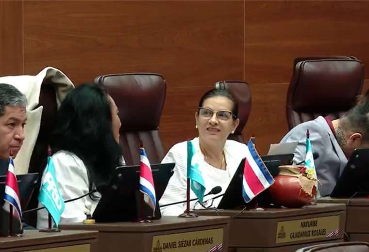 Las dos caras de la moneda: ¿Eliminar incorporación obligatoria a colegios profesionales?